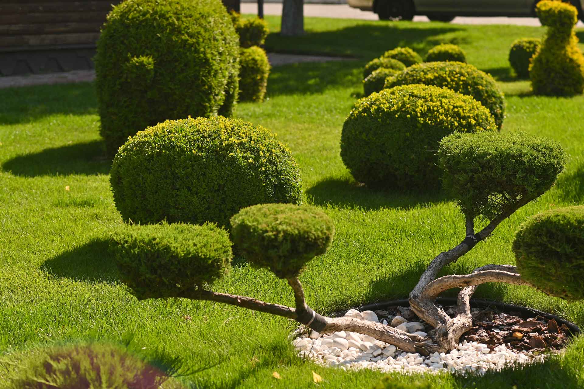 landscape-design-of-a-garden-in-a-public-park-2023-11-27-05-29-59-utc